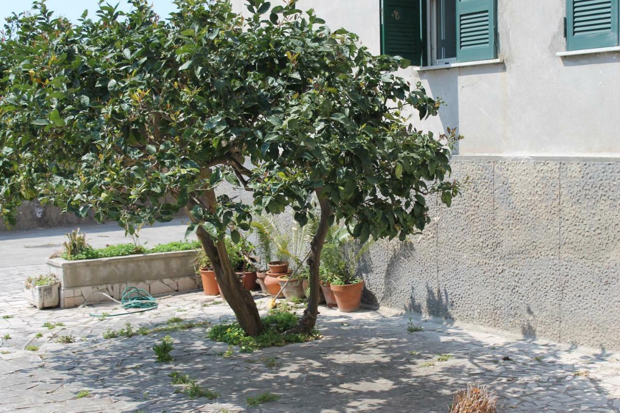 Paura Napoli